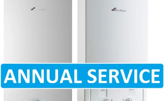 Gas Boiler Annual Service, Gas Fire & Cooker Annual Service